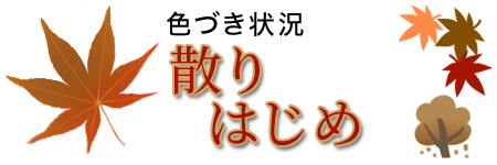 大子の紅葉スポット8選 大子町観光協会