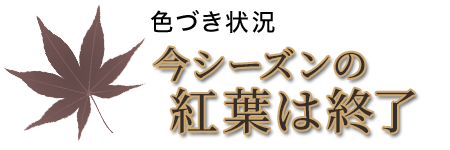 大子の紅葉スポット8選 大子町観光協会