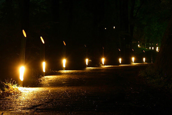 竹灯籠による遊歩道照明